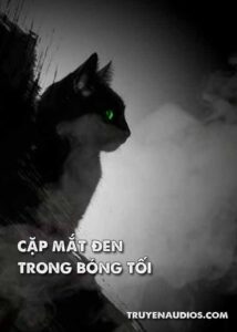 Cặp mắt đen trong bóng tối