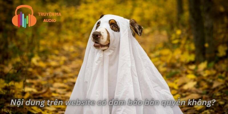 Nội dung trên website có đảm bảo bản quyền không?