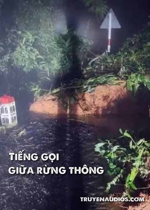 Tiếng gọi giữa rừng thông
