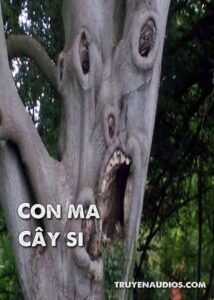 Con ma cây si