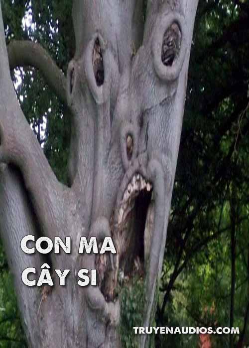 Con ma cây si